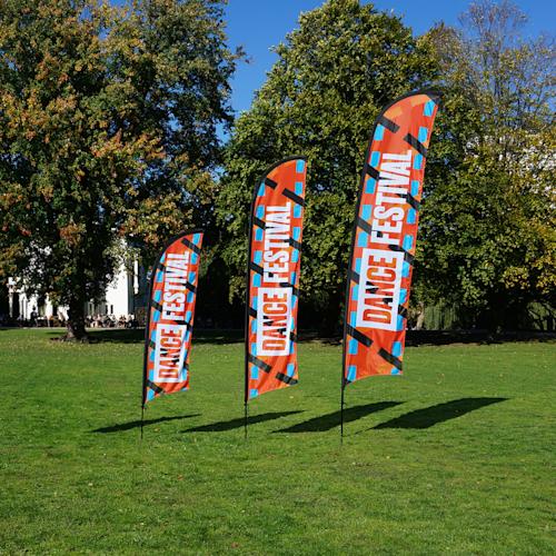 Aluminium Pole Feather Flag