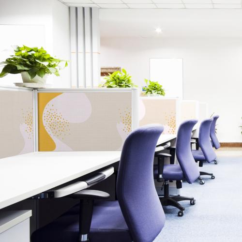 Acoustic Desk Dividers