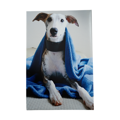 Foto op canvas voor buiten