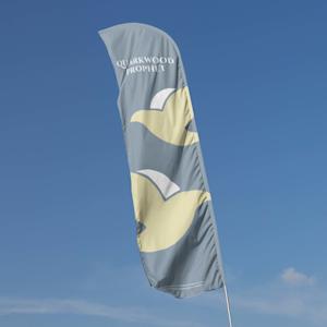 Strandvlag