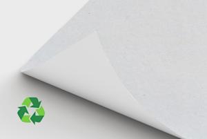 Recystar Nature Flyers