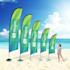 Premium beachflags