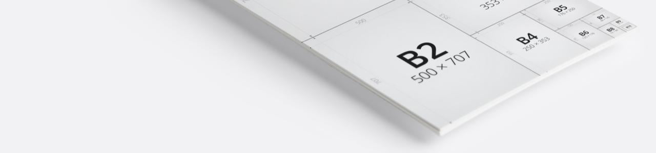 Alles over <br> B0 Formaat