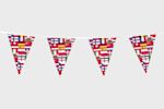 Bunting flags