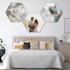 Hexagon Acoustic Photo Panels