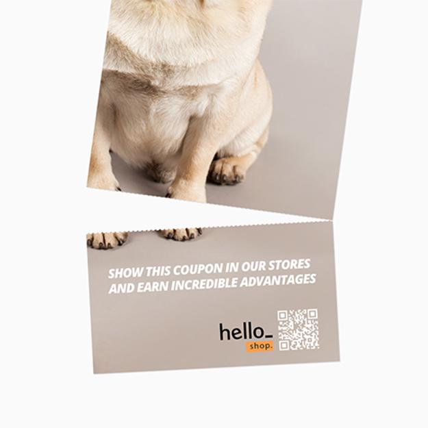 Colgadores de Puerta