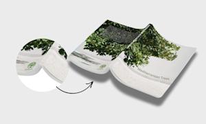 Gelijmde Softcover Boeken