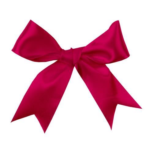Luxe cadeaulinten