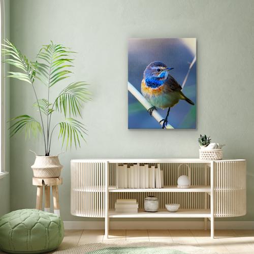 Foto op canvas