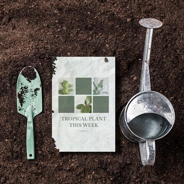 Pflanzbare Postkarten