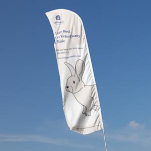Strandvlag