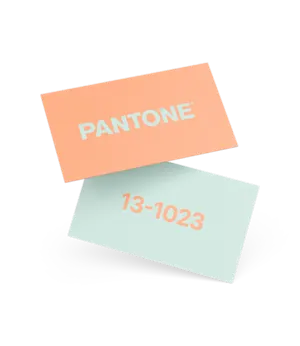 Biglietti da visita Pantone®