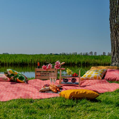 Image of a personalised picnic blanket with printed pillows.