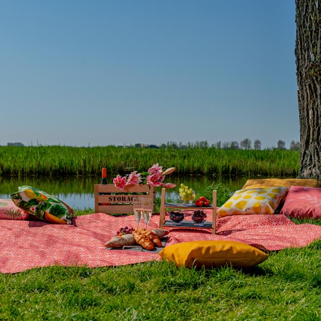 Image of a personalised picnic blanket with printed pillows.