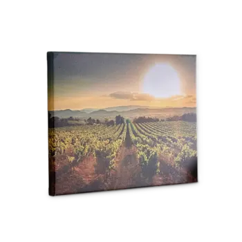 Canvas Photo Print-catalog-image