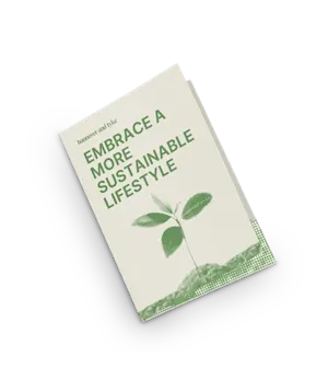 Carpetas ecológicas