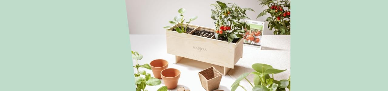 Laat je merk bloeien<br>
dit voorjaar