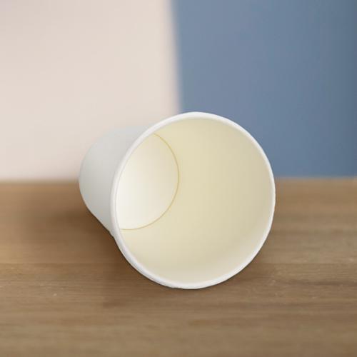 Paper Cup Single Wall