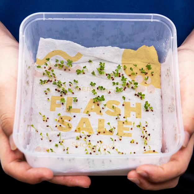 Pflanzbare Postkarten