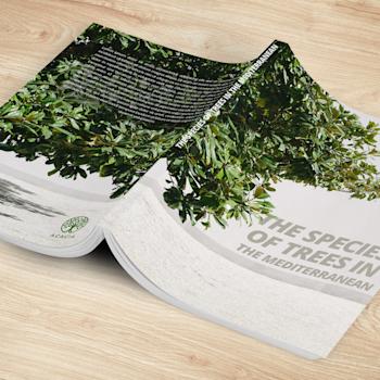 Brochure à dos carré collé