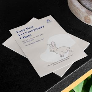 Standaard flyers
