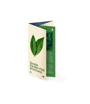 Double Parallel-Fold Brochures