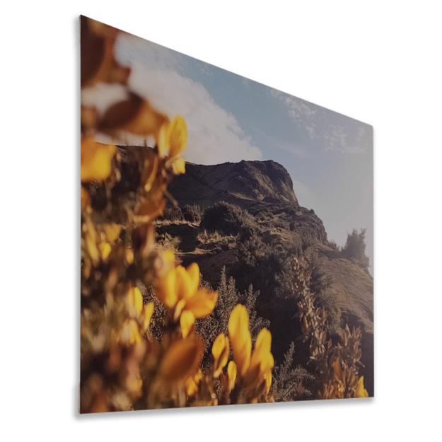 Locandine con cornice Premium