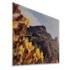 Posters met Premium lijst