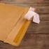 Padded Envelope