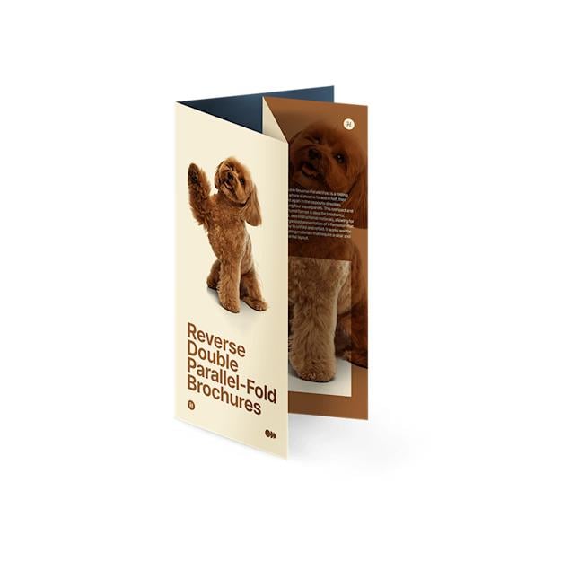 Reverse Double Parallel-Fold Brochures