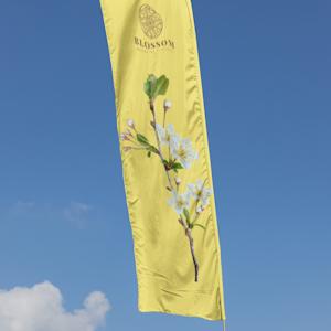 Strandvlag