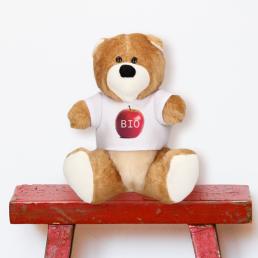 standing Teddy Bear with T shirt