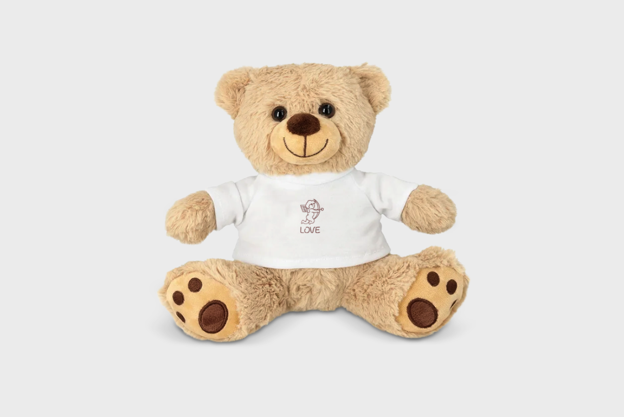 Foto Teddybeer met Shirt