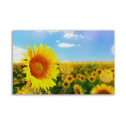 Cheap Outdoor Canvas Poster printing all over the UK | Free delivery and 100% satisfaction guarantee for all personalised Outdoor Canvas posters with HelloprintConnect