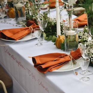 Servilletas de tela en una mesa de banquete, mesa festiva en un restaurante