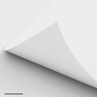 135gsm Silk