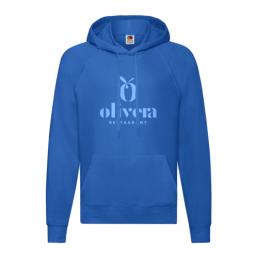 Promo Hoodie with logo