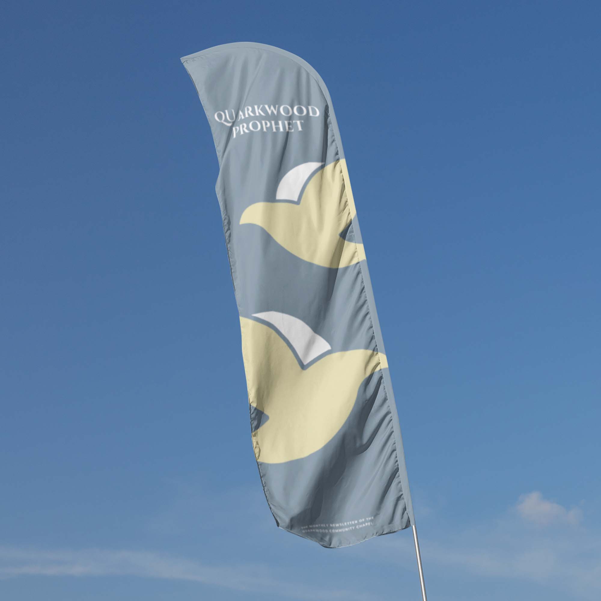 Strandvlag