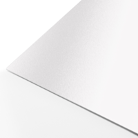 Blanc métallisé <br> 300 g