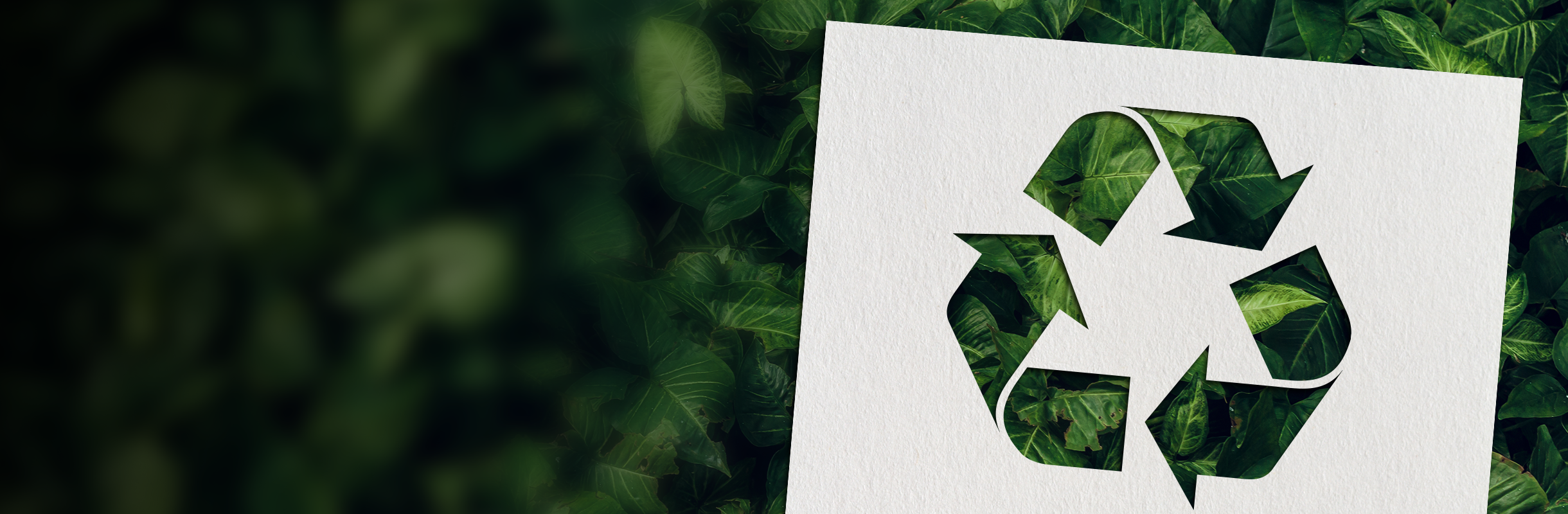 Design your folded leaflets responsibly!