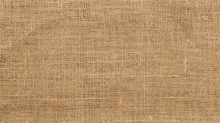 Materiali di origine biologica