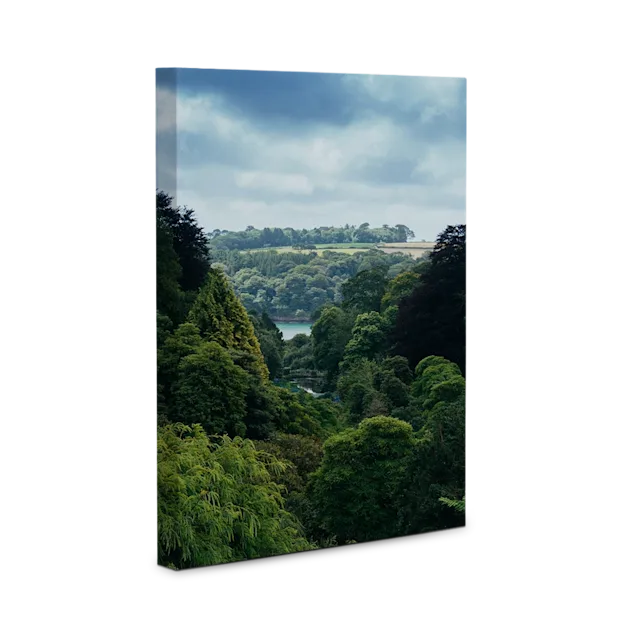 Canvas Photo Print-catalog-image