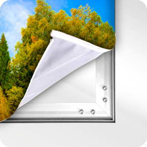 Display polyester 230 g/m²