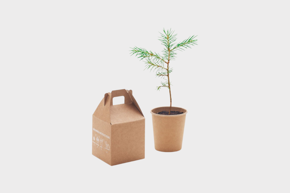 Growtree pine tree set