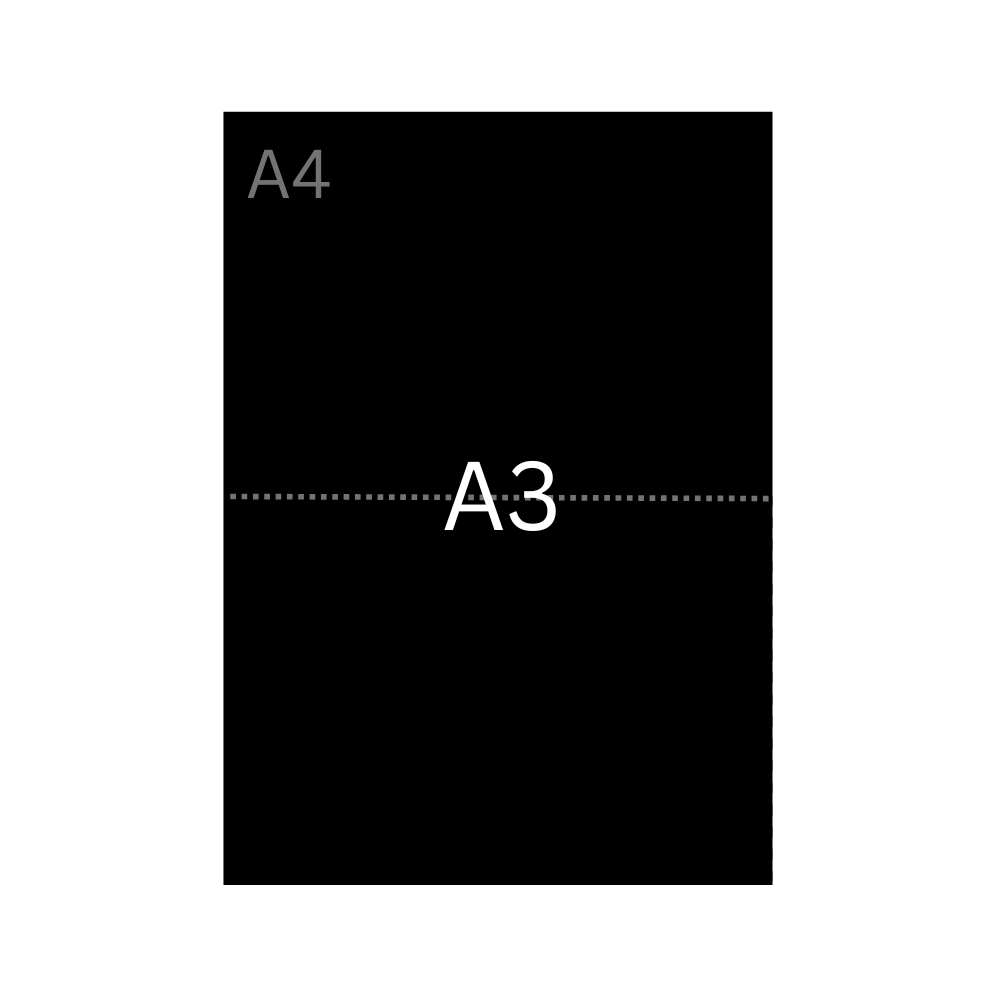 A3