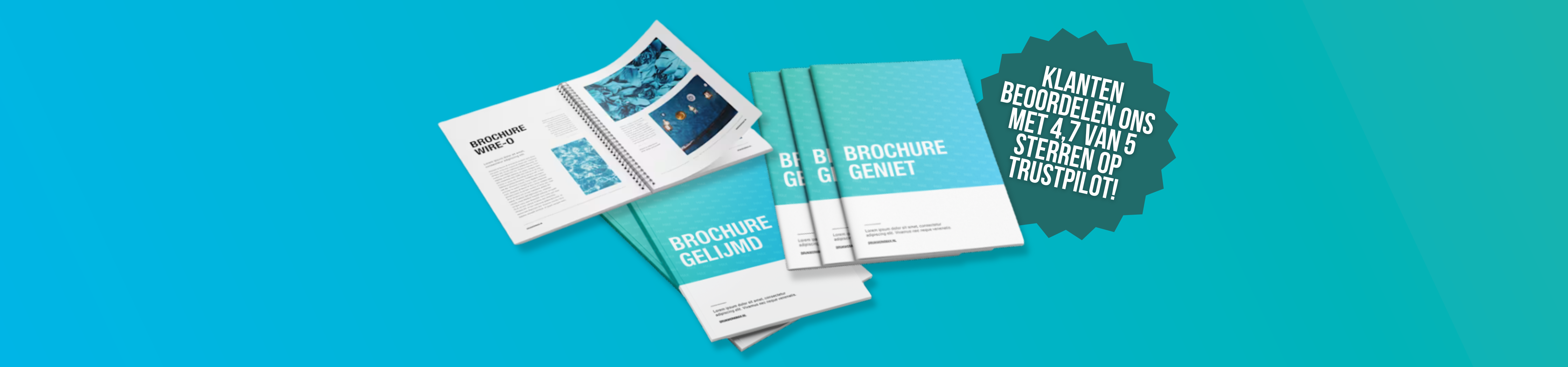 Voordelige brochures<br>
bestellen?
