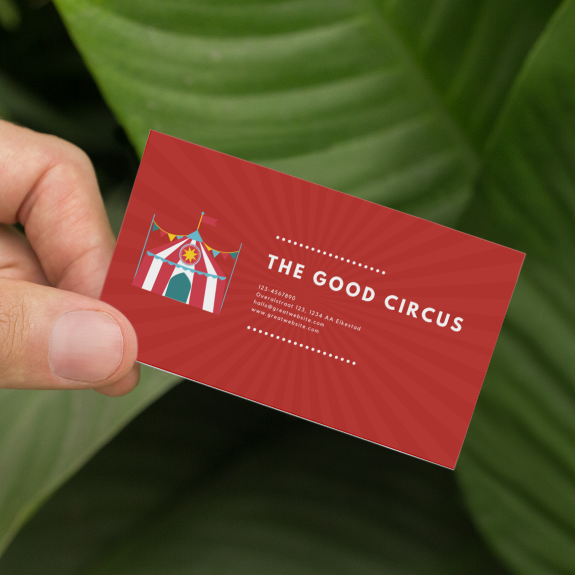 Standaard visitekaartjes