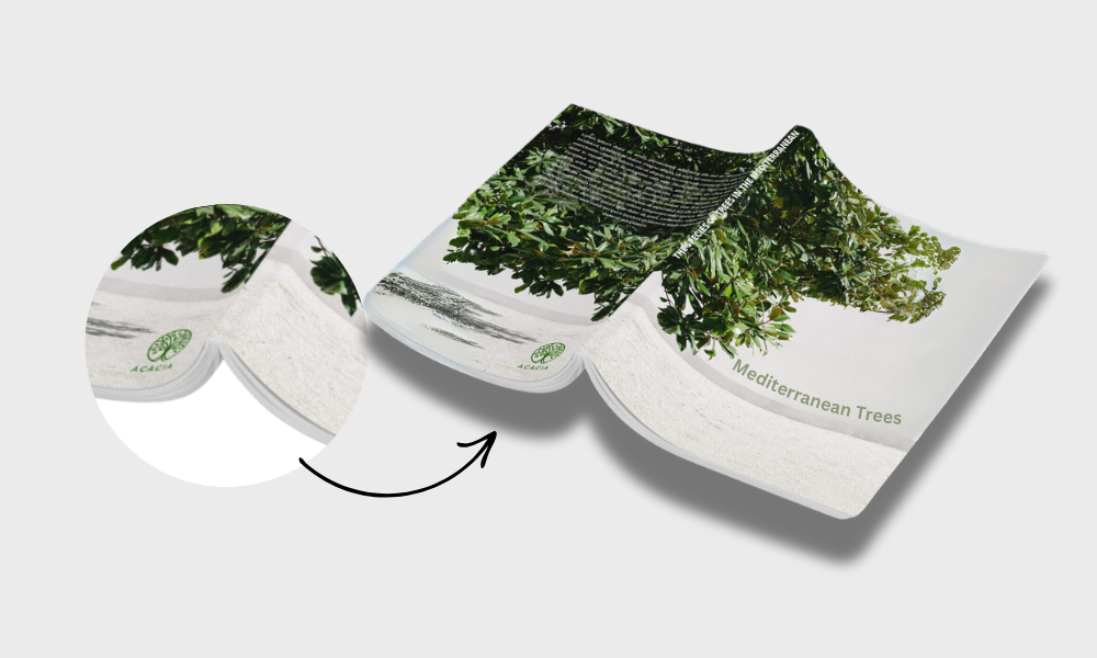 Gelijmde Softcover Boeken