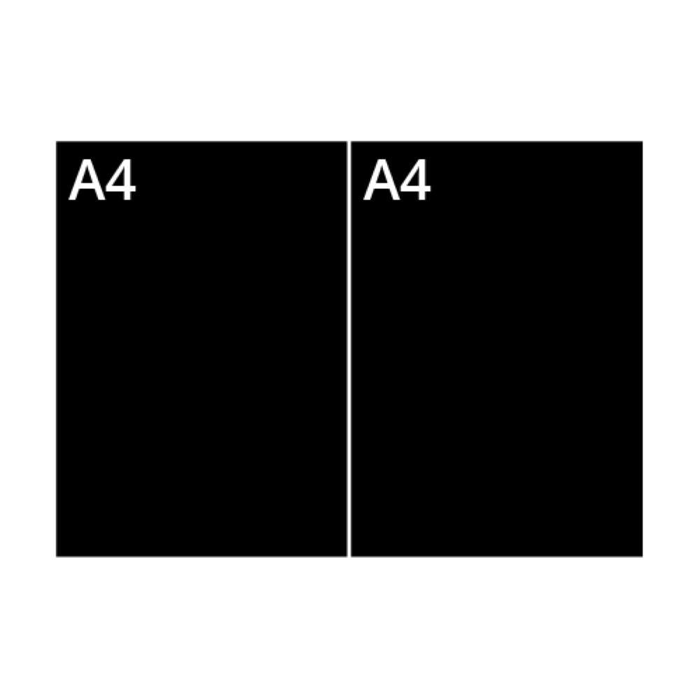 A3