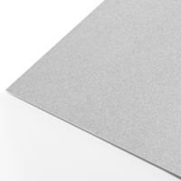 Argent métallisé <br> 300 g